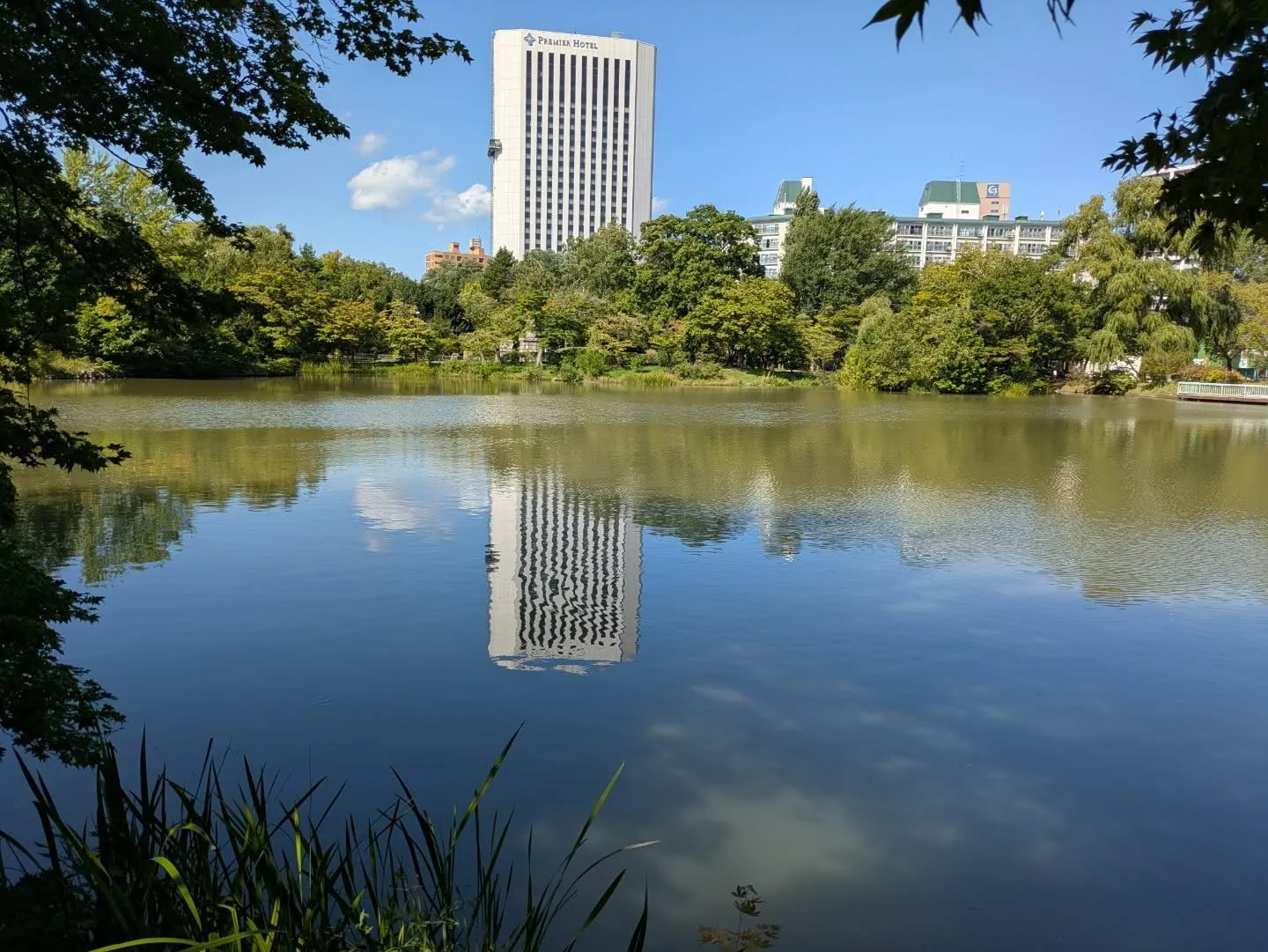 久しぶりに中島公園を散歩しました。