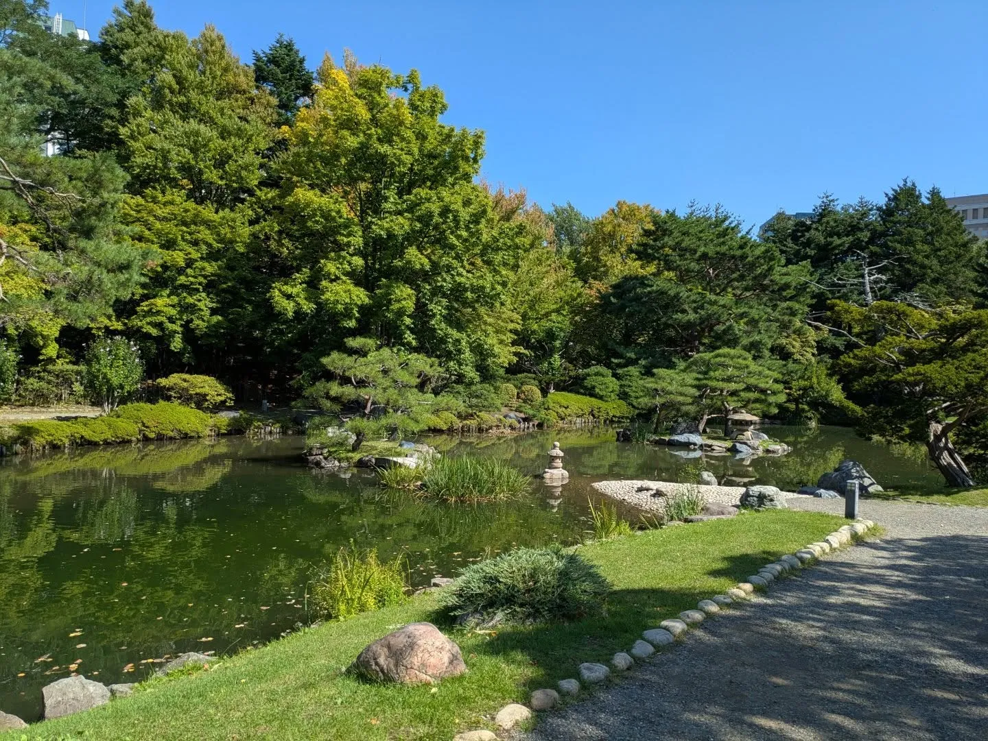 久しぶりに中島公園を散歩しました。