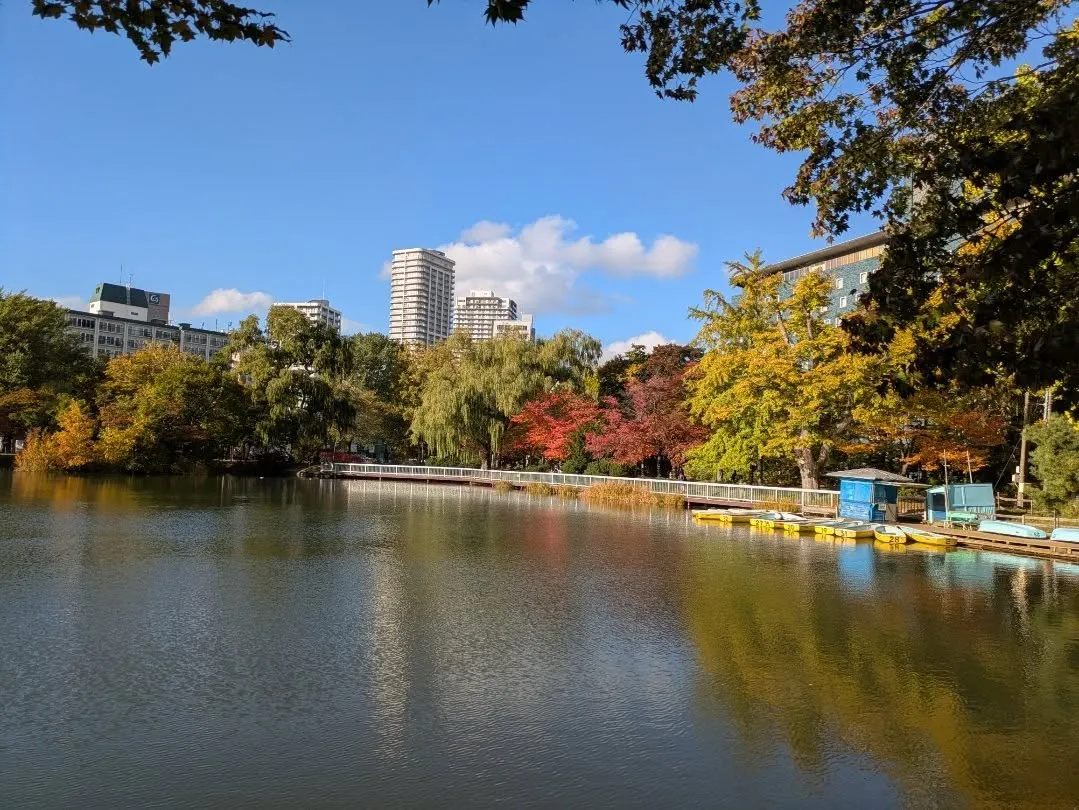 涼しいを通り越して寒いですね。