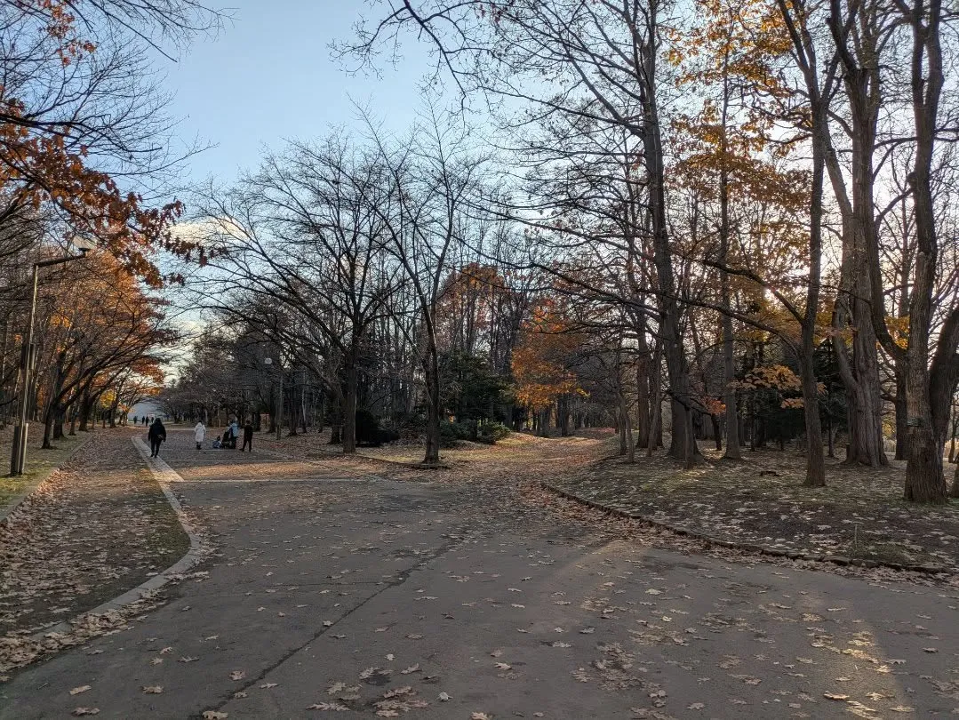 鴨さんは元気そうです。