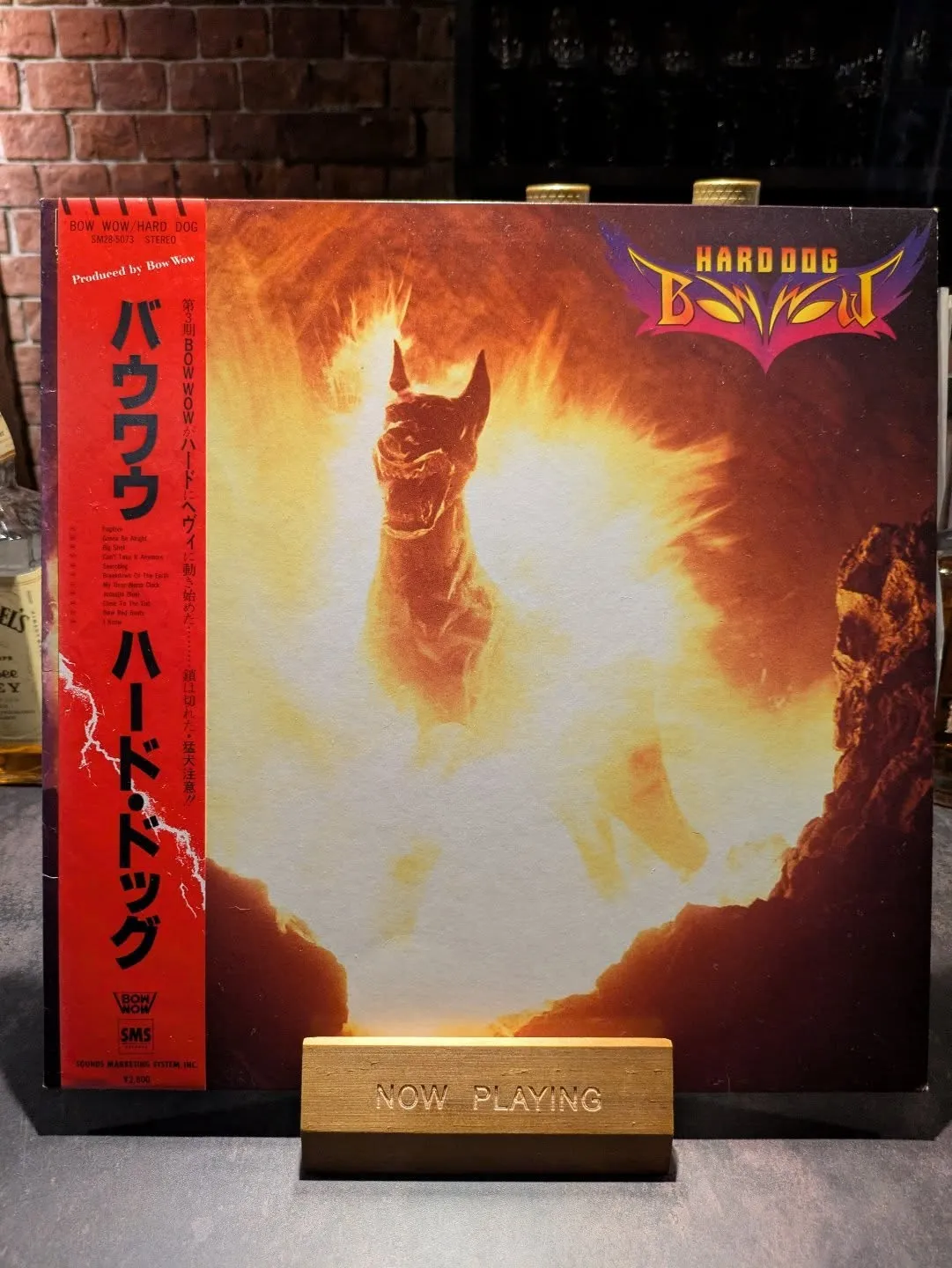 初期ライブ体験②