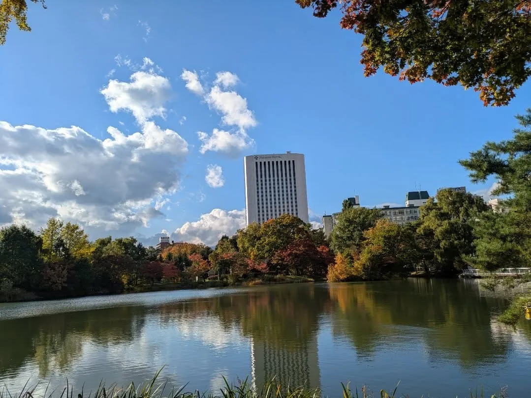 本日より通常営業です。