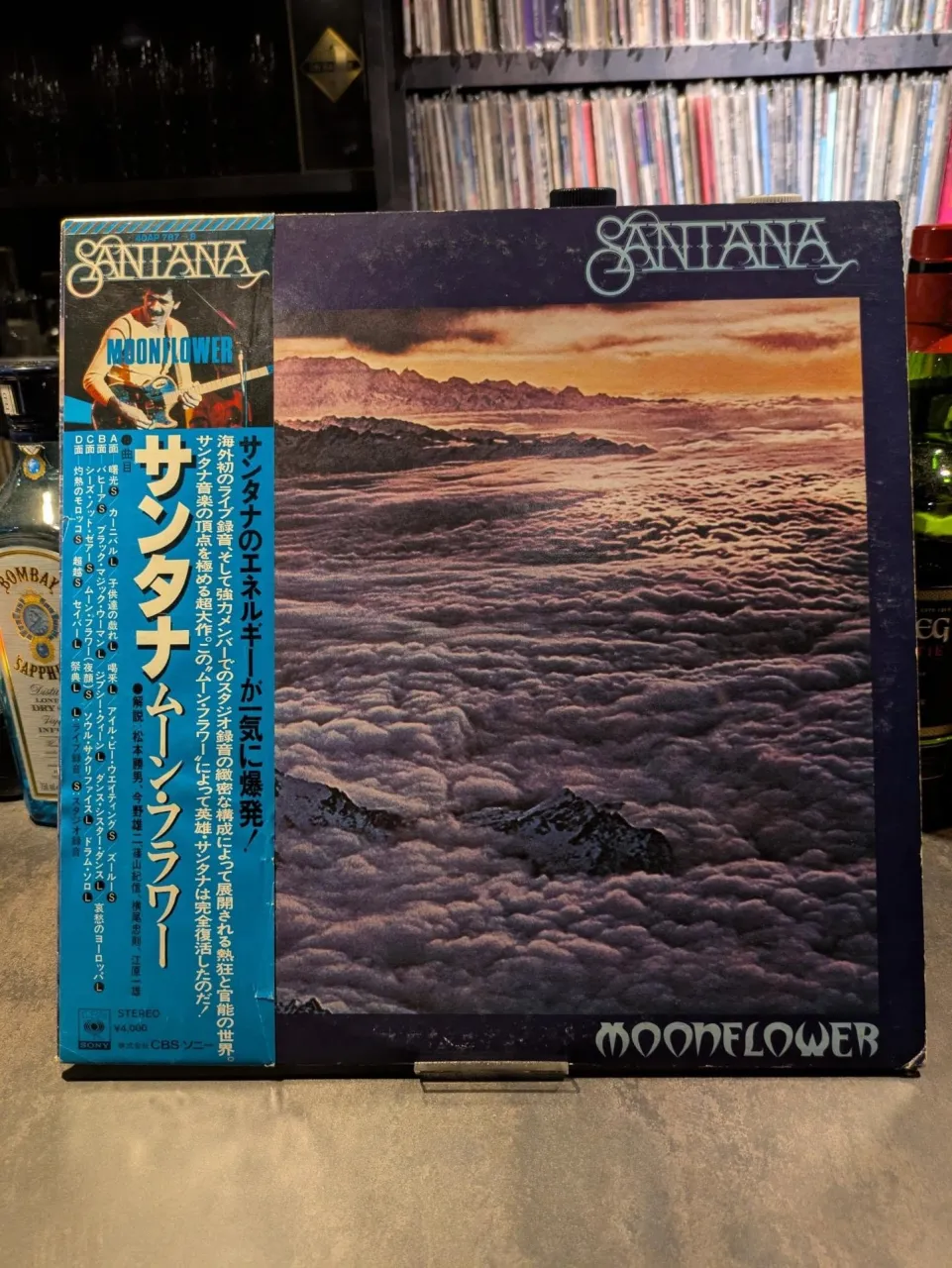 昨日お越しのお客さま