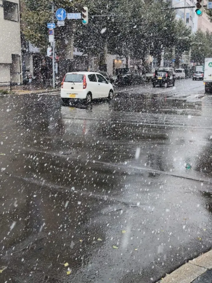 普通に降っています。