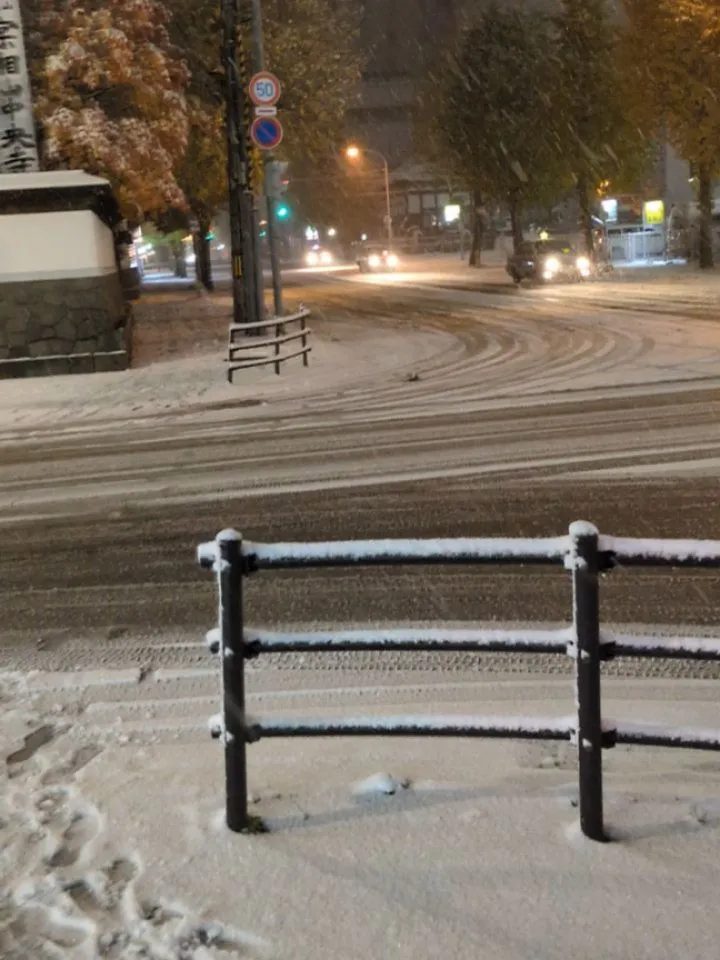 葉っぱも落ちてきましたね。