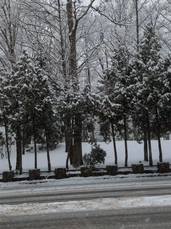 なかなか降り止みませんね。