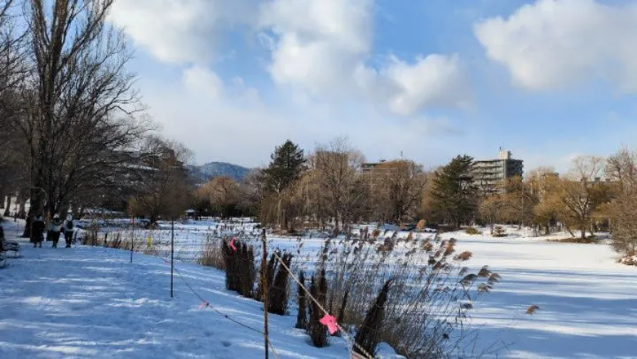 本日より通常営業です。