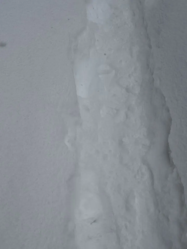 降りました、積もりました。